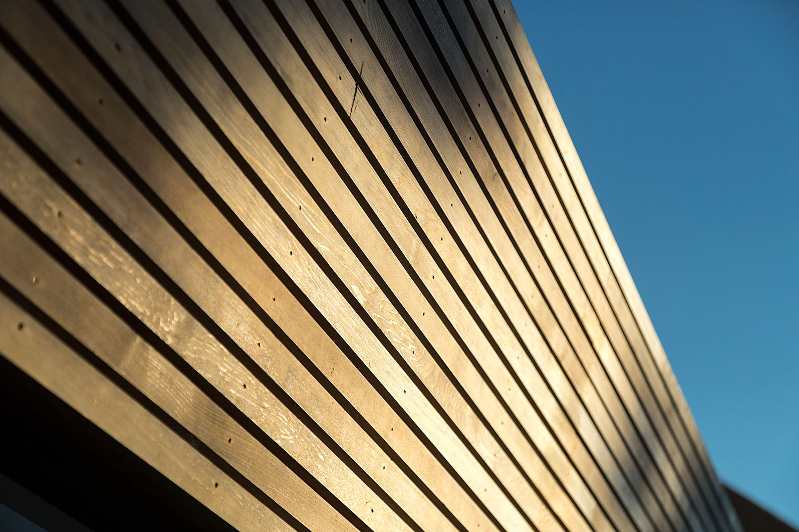 Horizontal larch rainscreen cladding gives the extension a clean contemporary character while complementing the existing house.